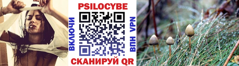 Псилоцибиновые грибы Psilocybe  Псков 
